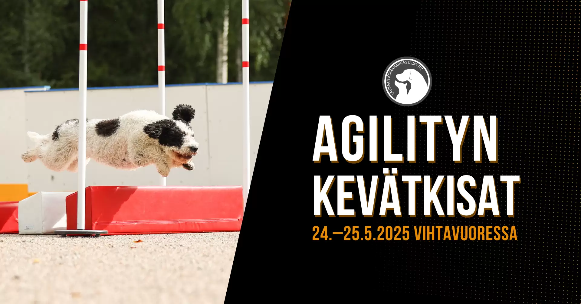 LAUKA-viralliset-agilitykilpailut-5-2025.png