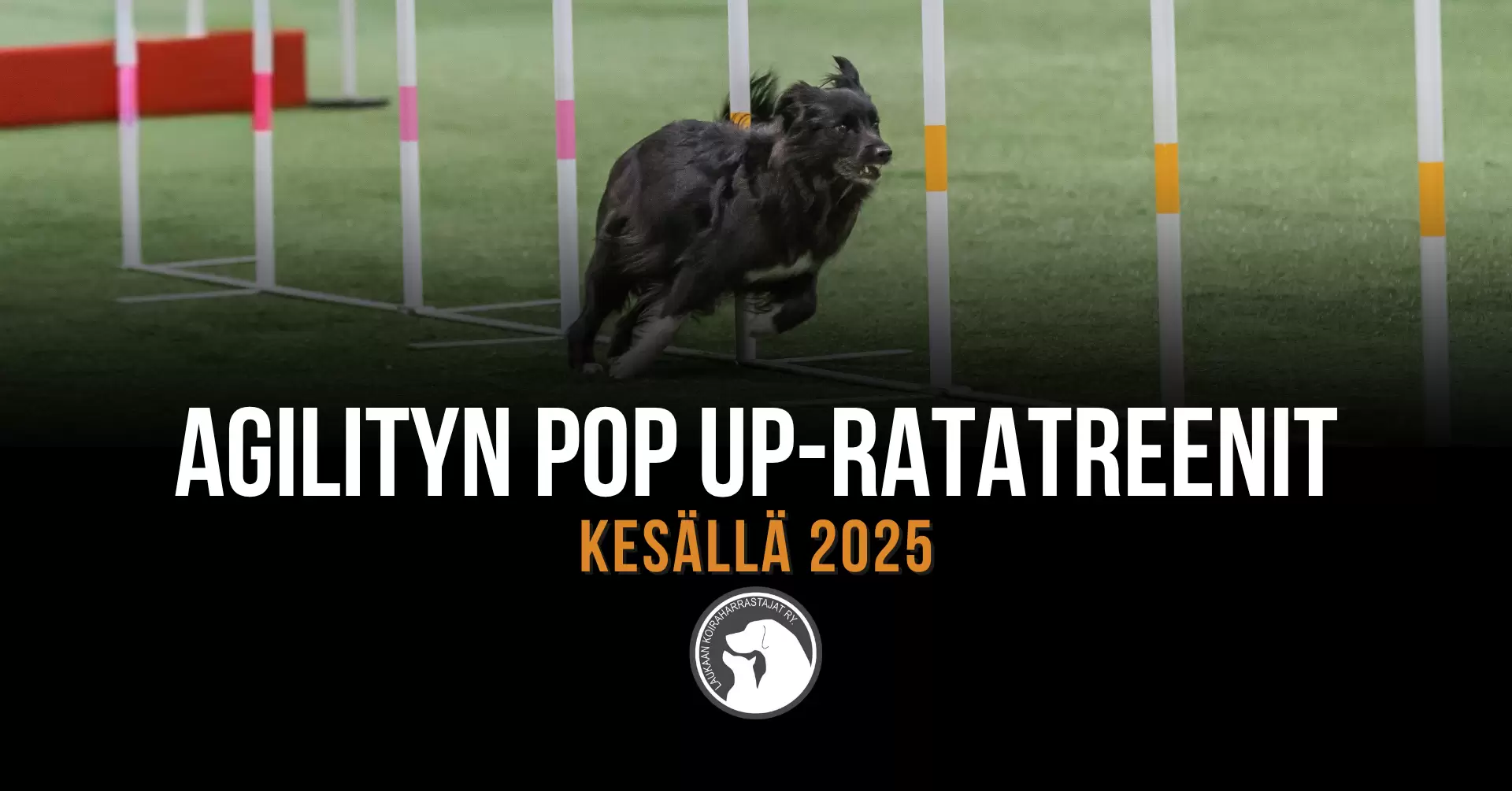 LAUKA-agilityn-popup-ratatreenit-kesä-2025.png