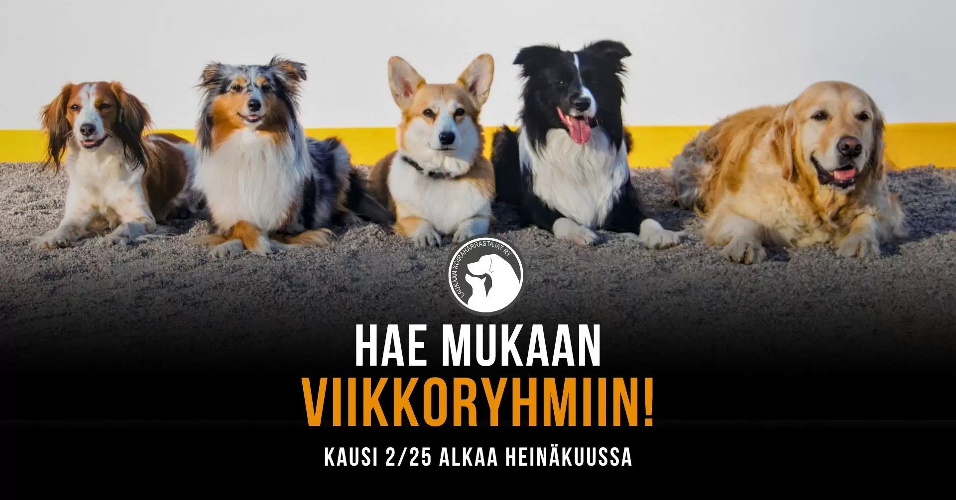 LAUKA-hae-mukaan-viikkoryhmiin-kausi-2-25.jpg