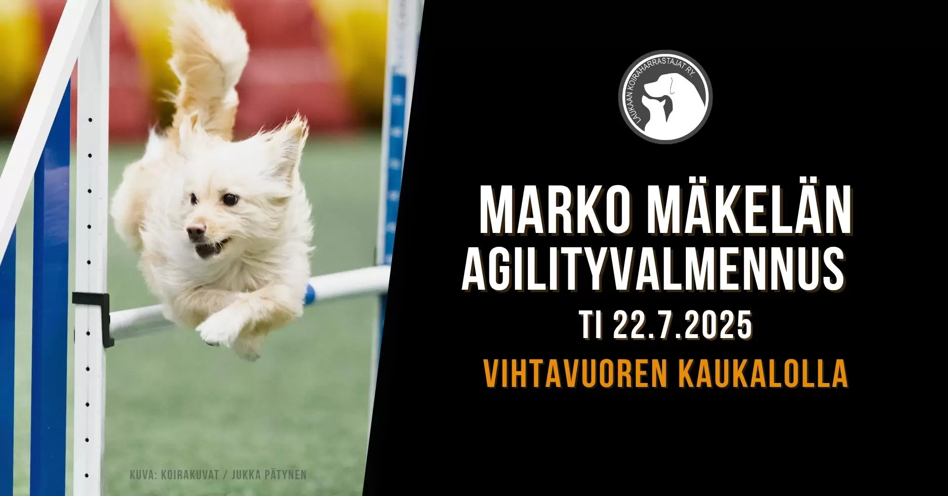 LAUKA-Marko-Mäkelän-agility-valmennus-22-7-2025.jpg
