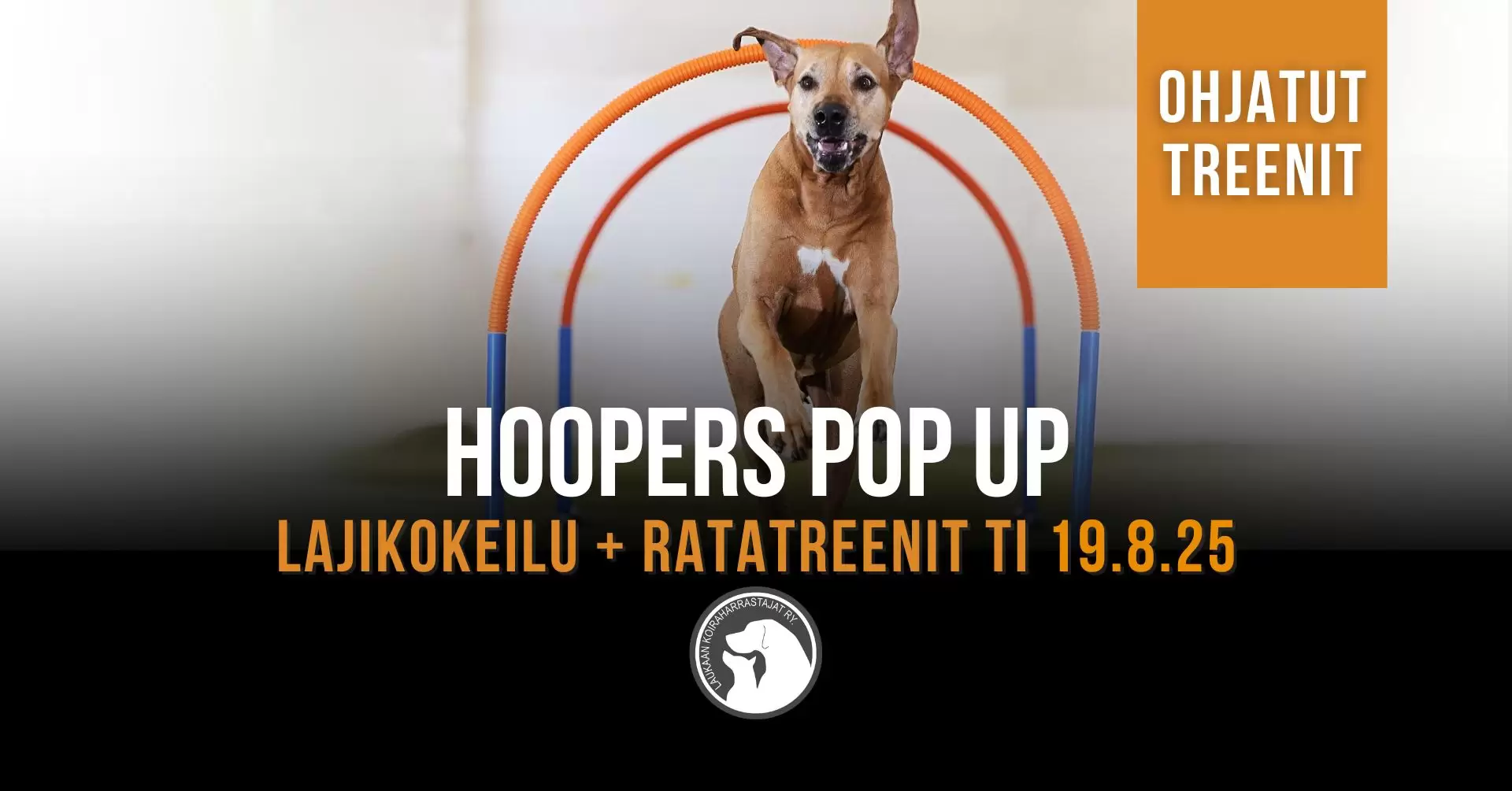 LAUKA-hoopers-pop-up-koulutus-19-8-2025.jpg