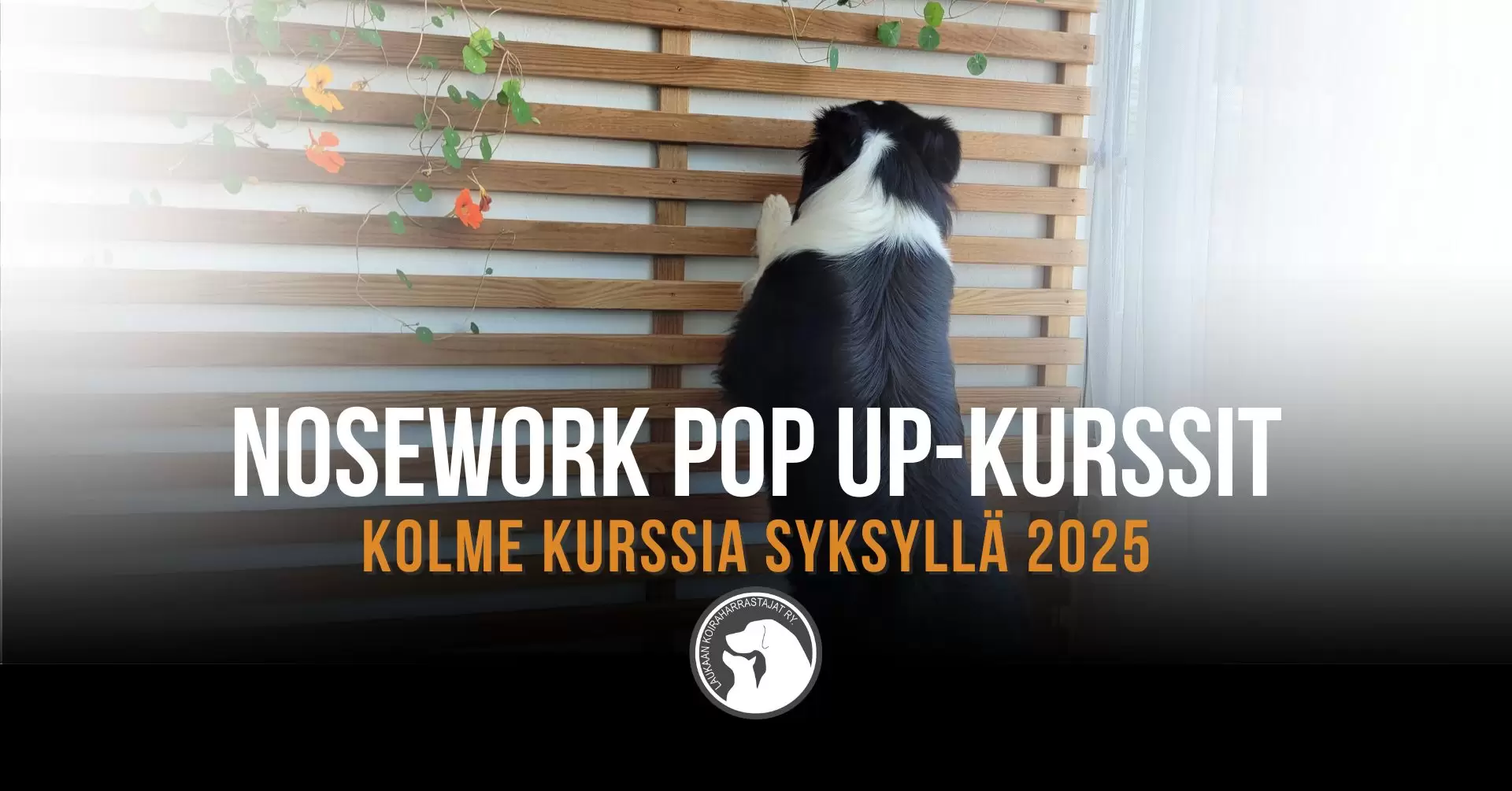 LAUKA-nosework-kurssit-2025