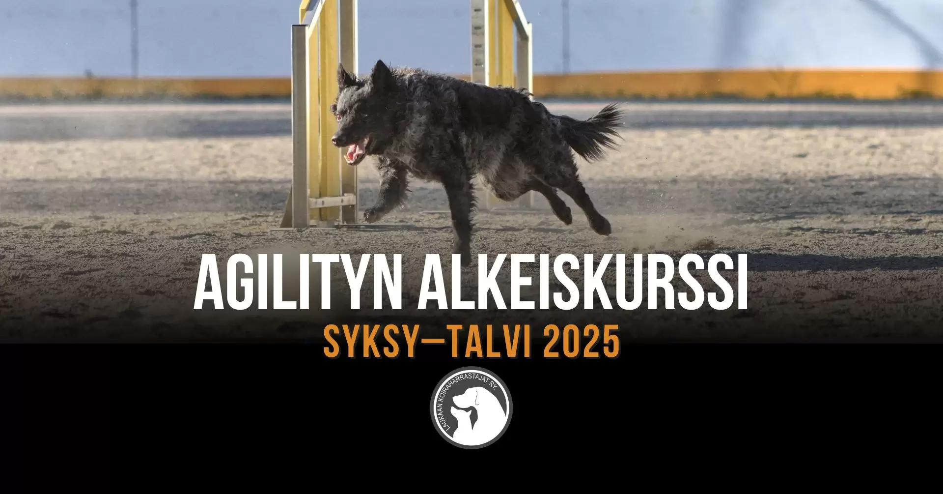LAUKA-agilityn-alkeiskurssi2025.jpg