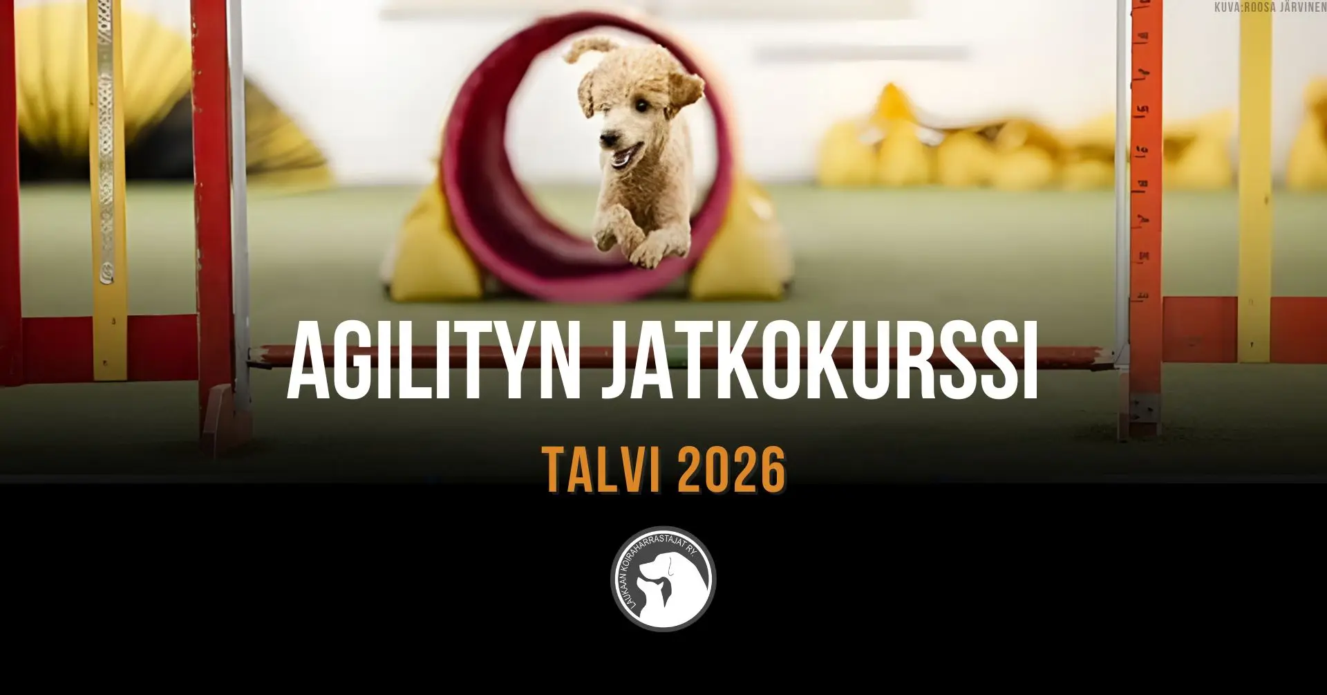 LAUKA agilityn jatkokurssi 2026