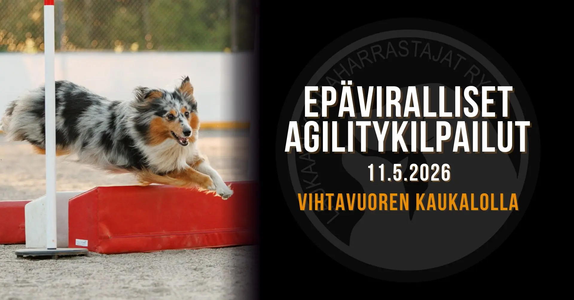 LAUKA-epäviralliset-agility-kilpailut-11-5-26.jpg