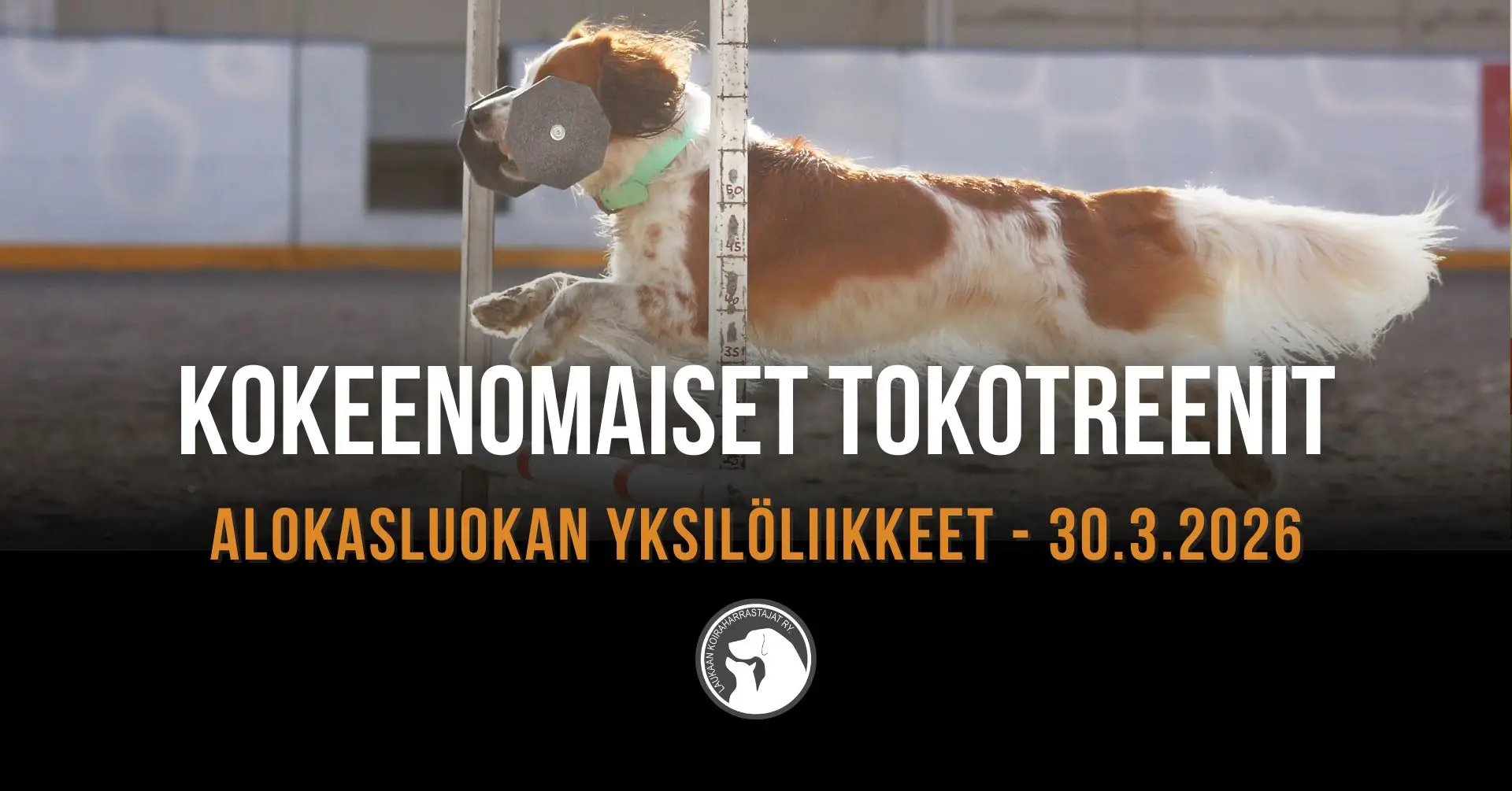 TOKOn_kokeenomaiset_treenit3/26.jpg
