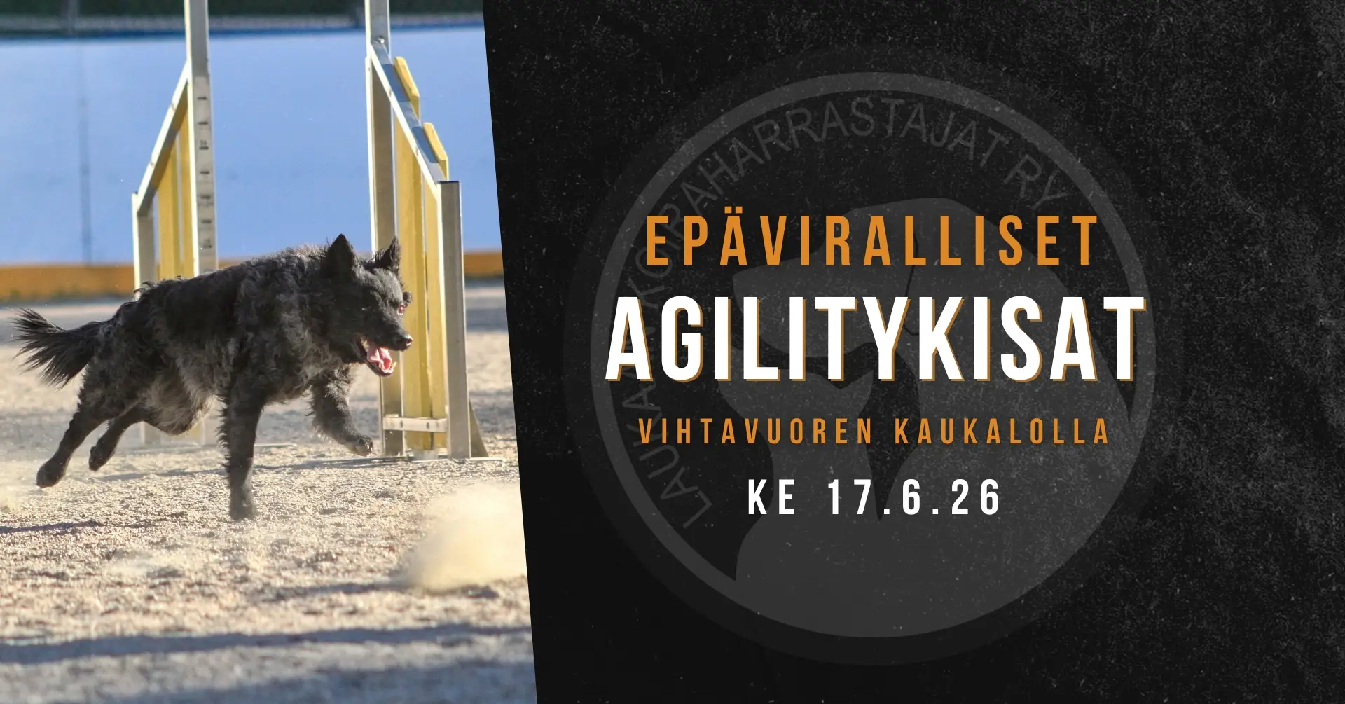 2026epäviralliset-agilitykilpailut.jpg