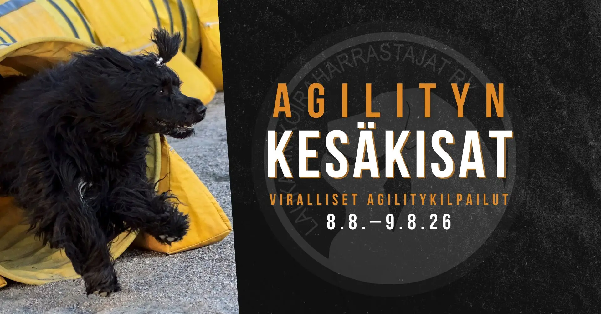 LAUKA-viralliset-agilitykisat-elokuu-2026-mainos.jpg