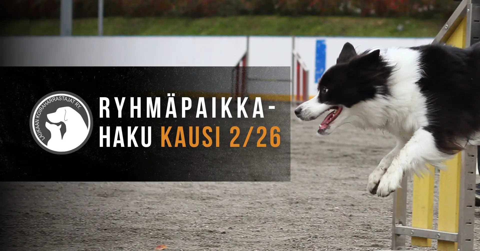 Kausihaku 226 2