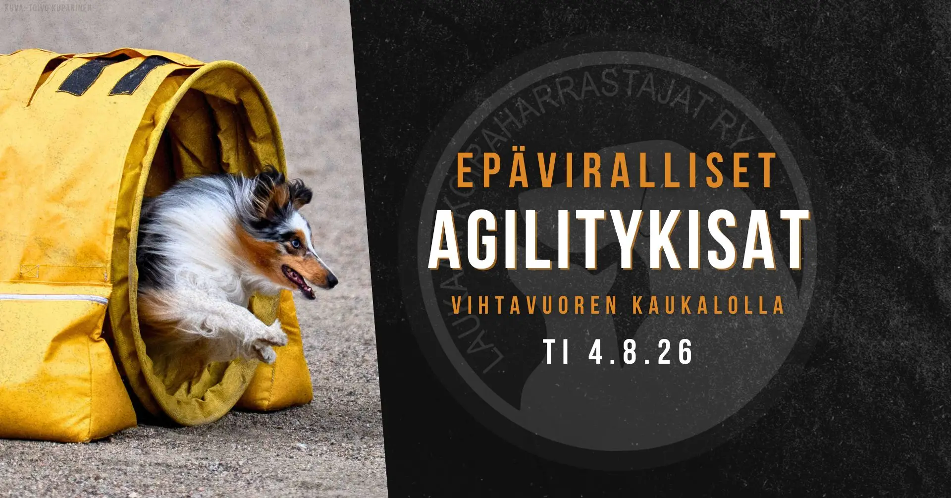 LAUKA epäviralliset agilitykisat 4.8.26.jpg