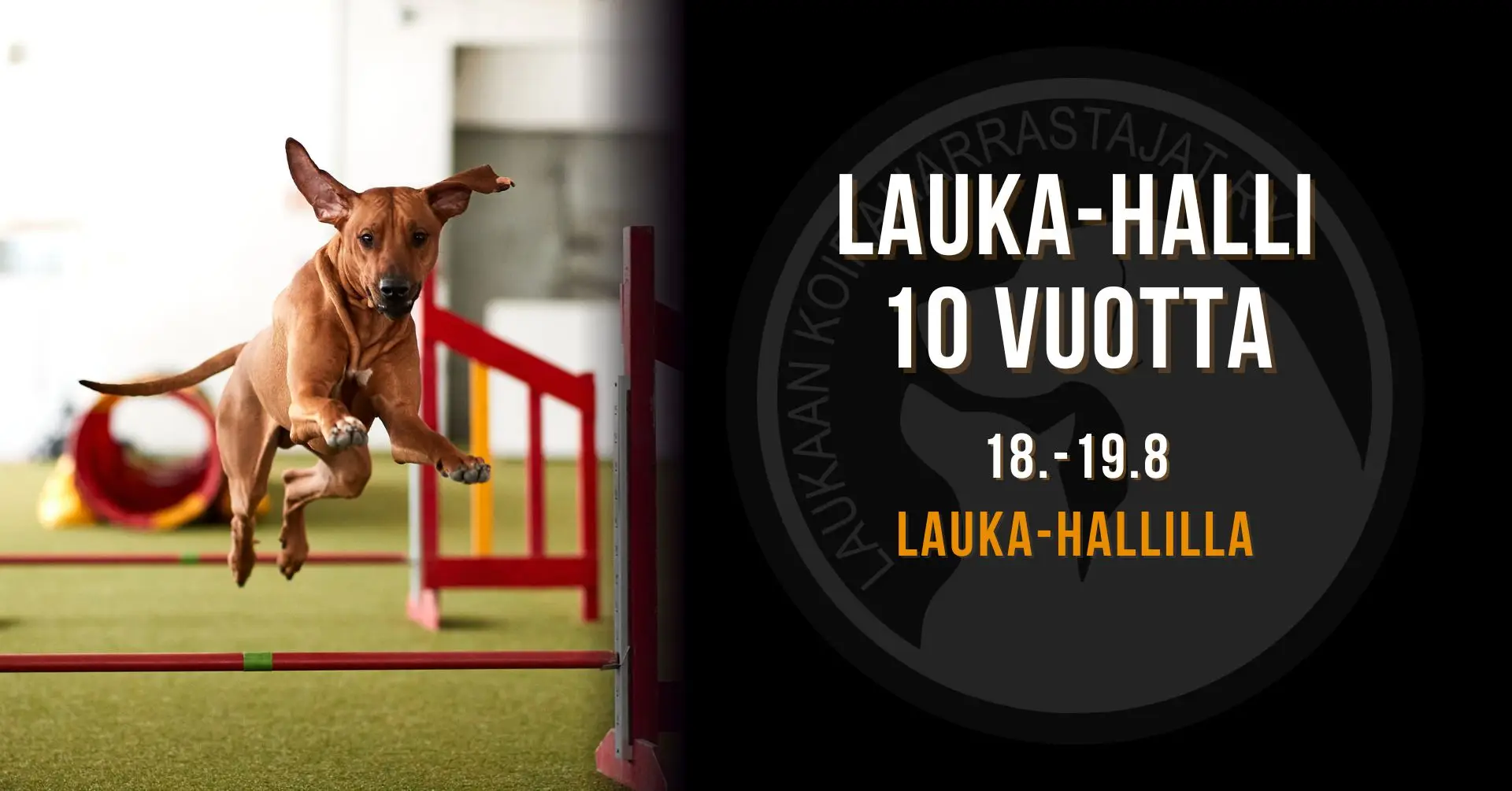 LAUKA-halli 10 vuotta.jpg